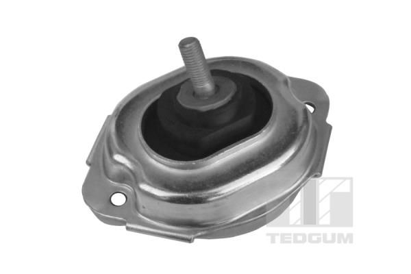 Łożyskowanie silnika TEDGUM 00088547