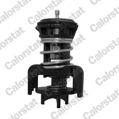 Termostat, płyn chłodzący CALORSTAT by Vernet TH7275.92J