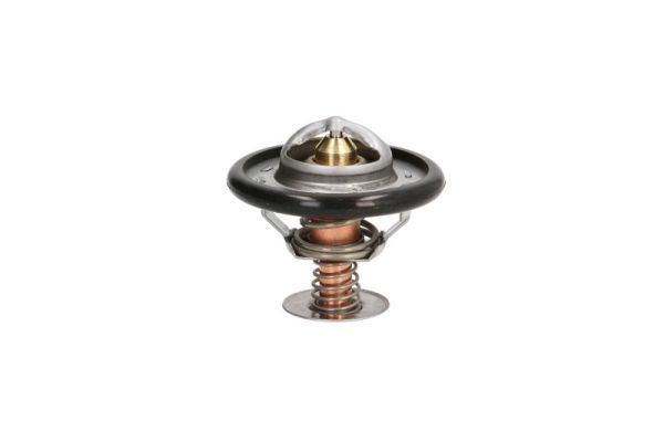 Termostat, płyn chłodzący THERMOTEC D2C002TT