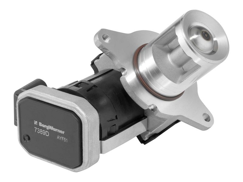 Zawór AGR BorgWarner 7389D