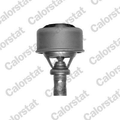 Termostat, płyn chłodzący CALORSTAT by Vernet TH4495.75
