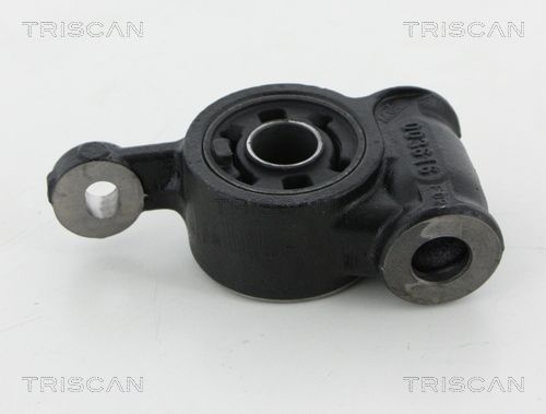 Łożyskowanie, wahacz TRISCAN 850050828