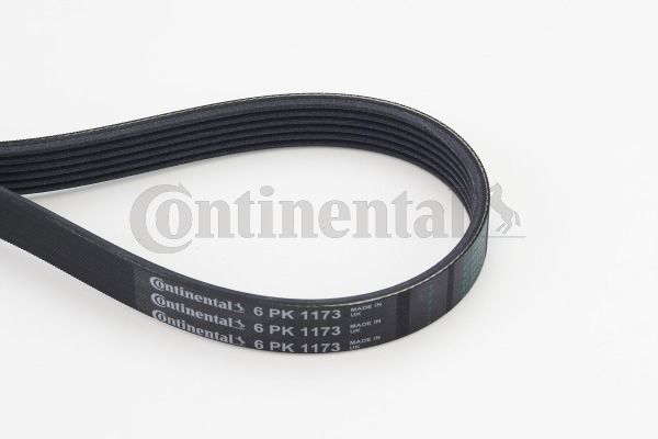 Pasek klinowy wielorowkowy CONTINENTAL CTAM 6PK1173