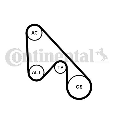 Zestaw paska klinowego wielorowkowego CONTINENTAL CTAM 5PK1145K1