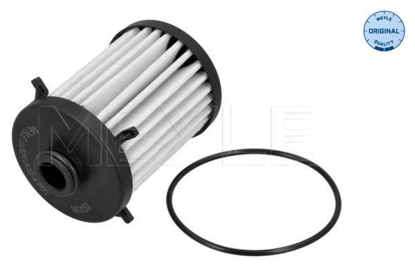 Filtr hydrauliczny, automatyczna skrzynia biegów MEYLE 100 136 1007