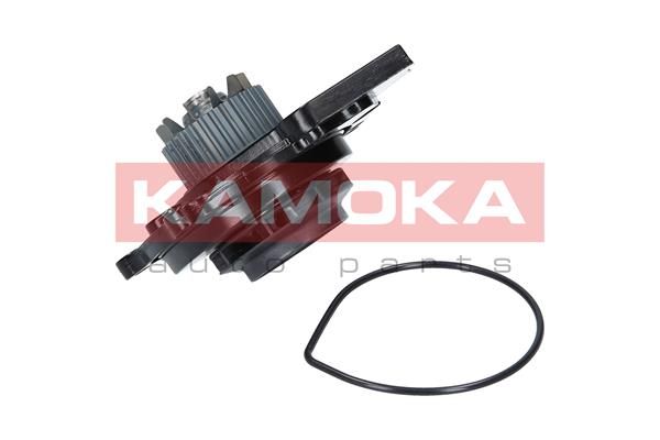 Pompa wody, chłodzenie silnika KAMOKA T0031