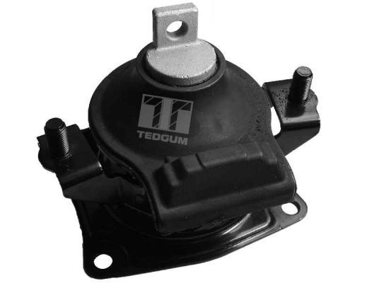 Łożyskowanie silnika TEDGUM 00263076