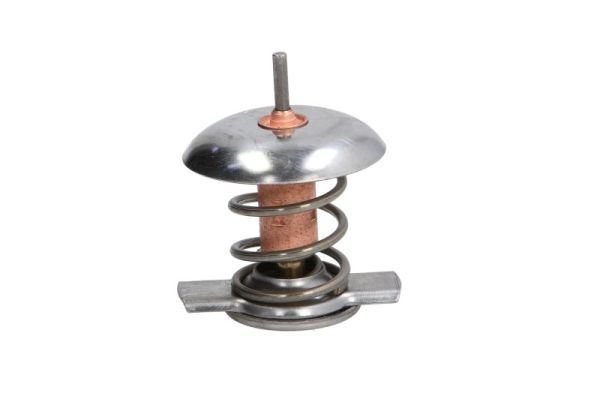Termostat, płyn chłodzący THERMOTEC D2X005TT