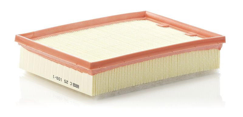 Filtr powietrza MANN-FILTER c 25 109/1