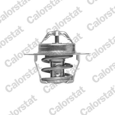 Termostat, płyn chłodzący CALORSTAT by Vernet th6318.89j