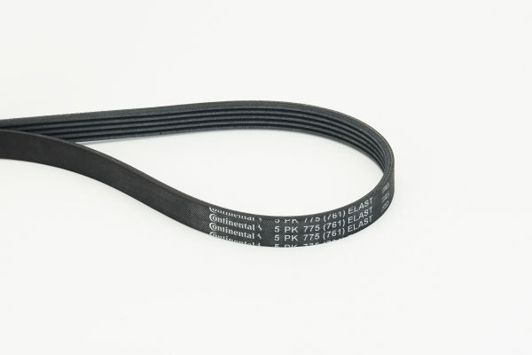 Pasek klinowy wielorowkowy CONTINENTAL CTAM 5PK775ELAST