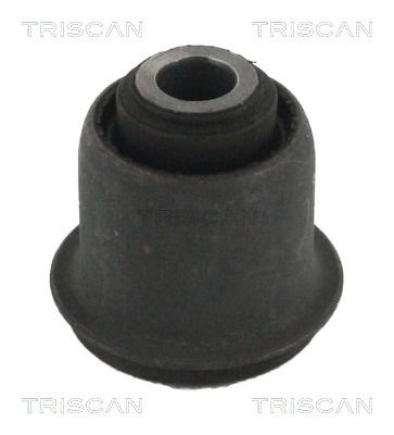 Łożyskowanie, wahacz TRISCAN 850050823