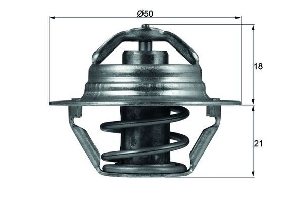 Termostat, płyn chłodzący MAHLE TX10089D