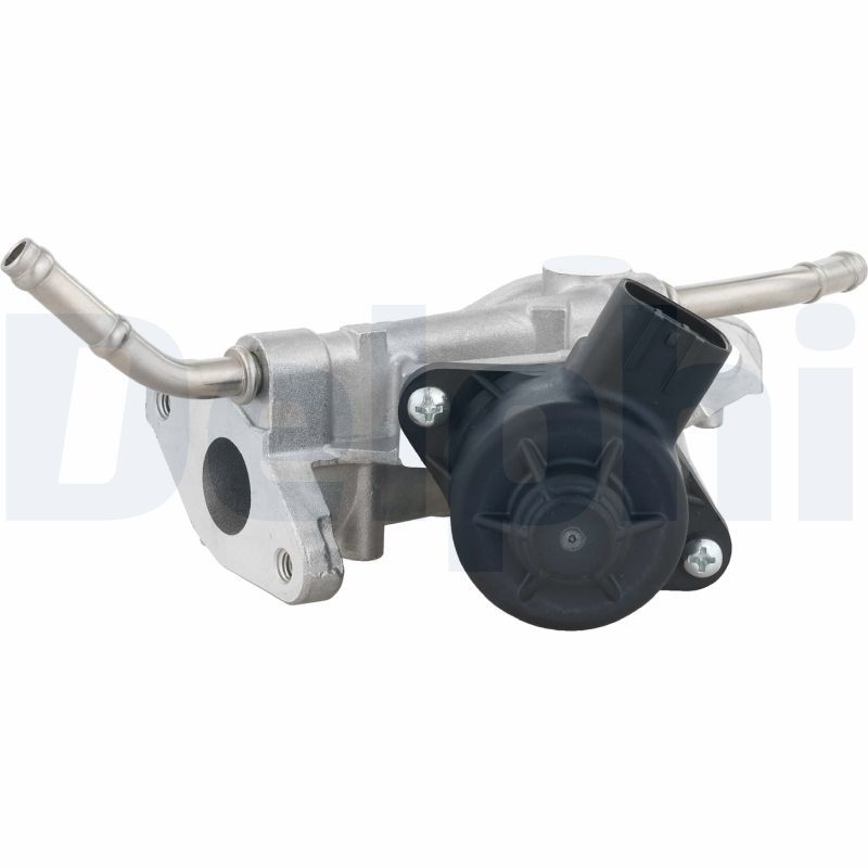 Zawór AGR DELPHI EG10738-12B1