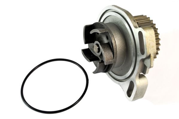 Pompa wody, chłodzenie silnika THERMOTEC D1A010TT