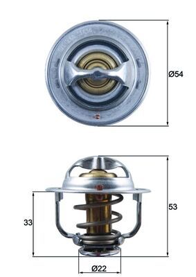 Termostat, płyn chłodzący MAHLE TX17989D