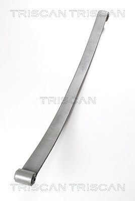 Pakiet sprężyn TRISCAN 876523016