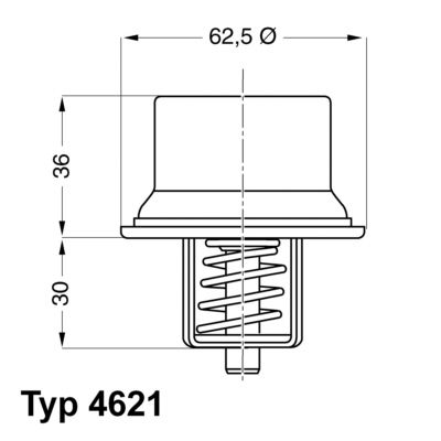 Termostat, płyn chłodzący WAHLER 4621.80d