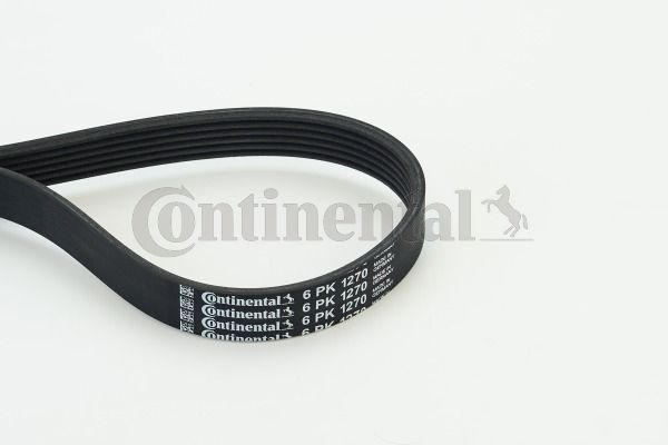 Pasek klinowy wielorowkowy CONTINENTAL CTAM 6PK1270