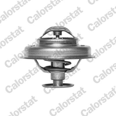 Termostat, płyn chłodzący CALORSTAT by Vernet th4945.89j