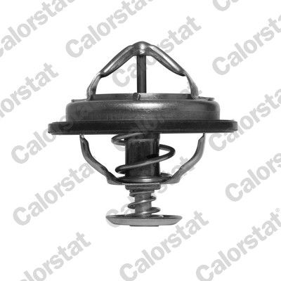 Termostat, płyn chłodzący CALORSTAT by Vernet th6525.82j