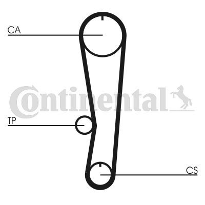Pasek rozrządu CONTINENTAL CTAM CT895