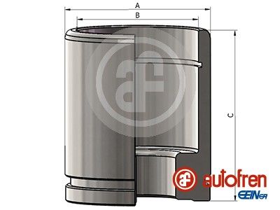 Tłoczek, zacisk hamulca AUTOFREN SEINSA D025376