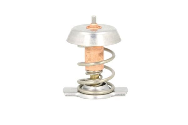 Termostat, płyn chłodzący THERMOTEC D2X002TT