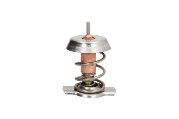 Termostat, płyn chłodzący THERMOTEC D2X008TT