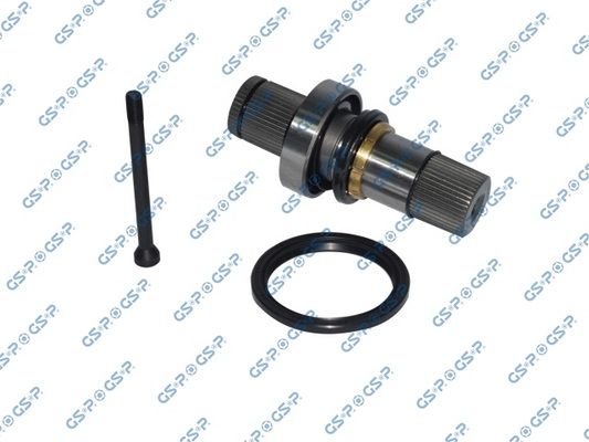 Wałek wewnętrzny, mechanizm różnicowy GSP 261213