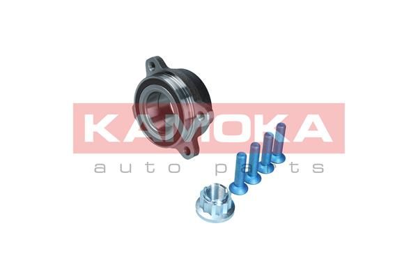 Zestaw łożysk koła KAMOKA 5500383