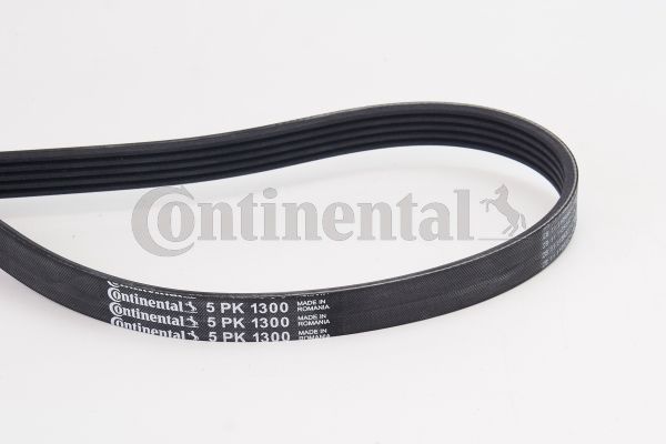 Pasek klinowy wielorowkowy CONTINENTAL CTAM 5PK1300