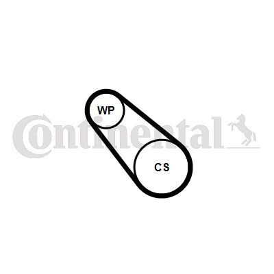 Pompa wody + zestaw paska klinowego wielorowkowego CONTINENTAL CTAM 3PK576ELASTWP2
