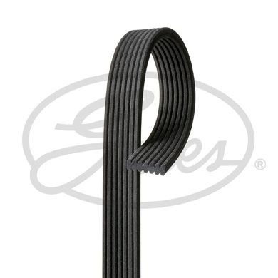 Pasek klinowy wielorowkowy GATES 7dpk2074