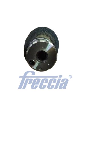 Wałek rozrządu FRECCIA CM05-2446