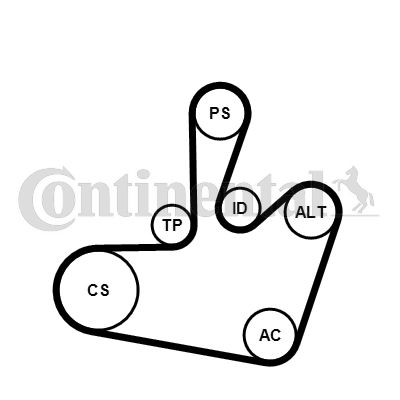 Zestaw paska klinowego wielorowkowego CONTINENTAL CTAM 6PK1548K1