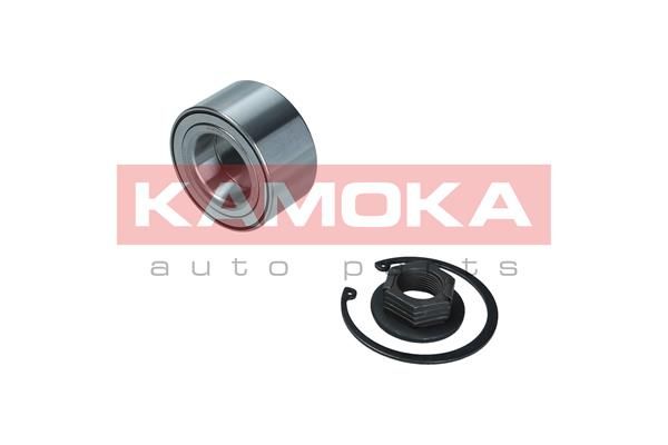 Zestaw łożysk koła KAMOKA 5600142