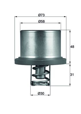 Termostat, płyn chłodzący MAHLE THD289