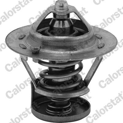 Termostat, płyn chłodzący CALORSTAT by Vernet th6275.84j