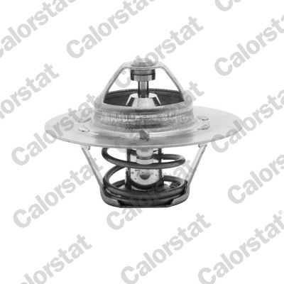 Termostat, płyn chłodzący CALORSTAT by Vernet th4608.80j
