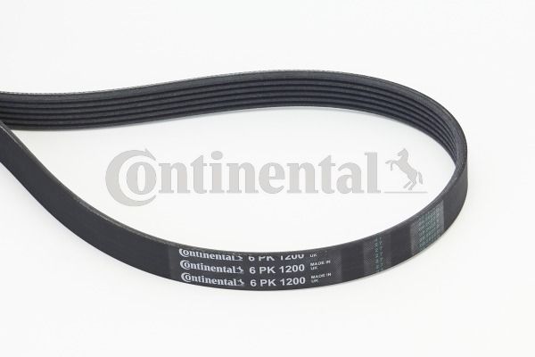 Pasek klinowy wielorowkowy CONTINENTAL CTAM 6PK1200