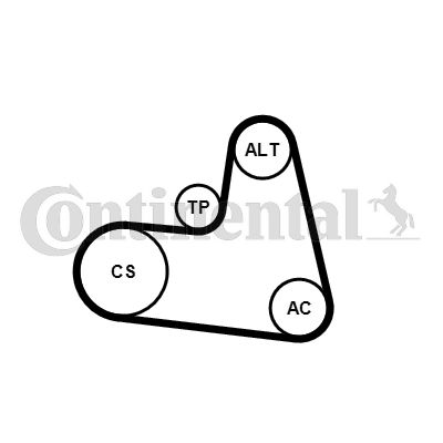 Zestaw paska klinowego wielorowkowego CONTINENTAL CTAM 6pk1217k1