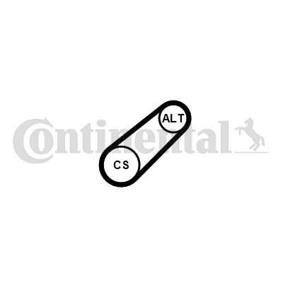 Pasek klinowy wielorowkowy CONTINENTAL CTAM 6pk701 elast