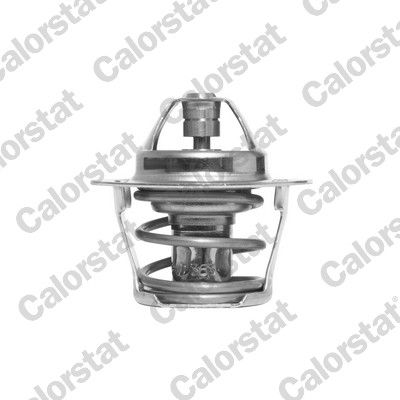 Termostat, płyn chłodzący CALORSTAT by Vernet th0963.86j