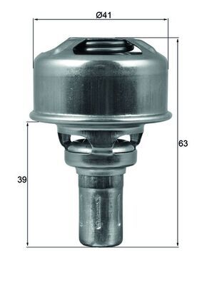 Termostat, płyn chłodzący MAHLE TX17486