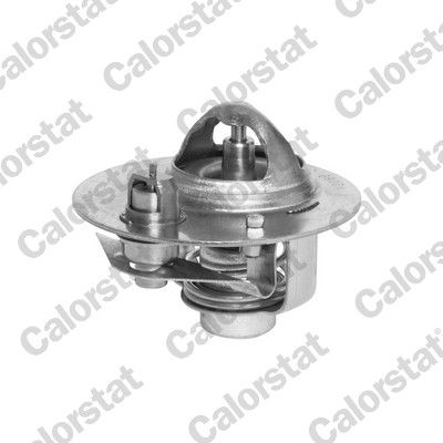 Termostat, płyn chłodzący CALORSTAT by Vernet th5980.88j