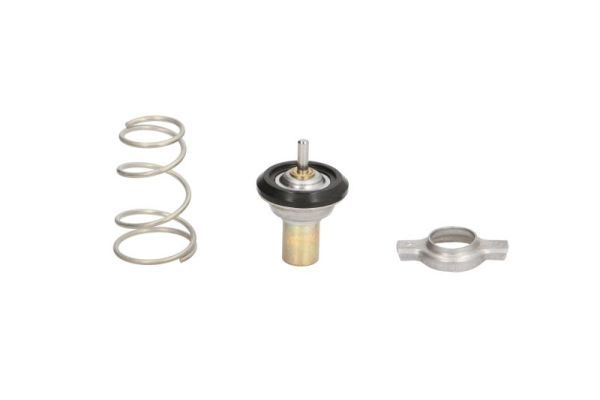 Termostat, płyn chłodzący THERMOTEC D2F002TT