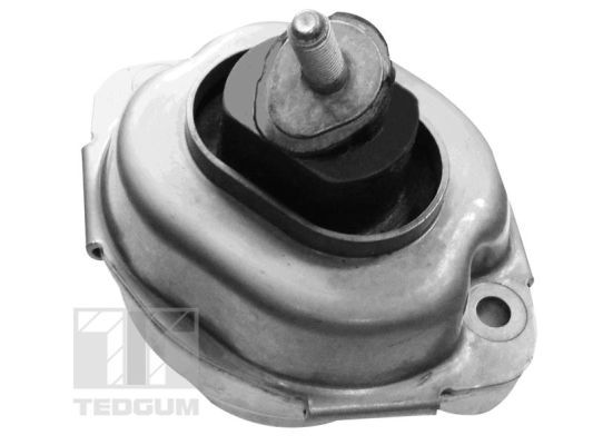 Łożyskowanie silnika TEDGUM 00088396