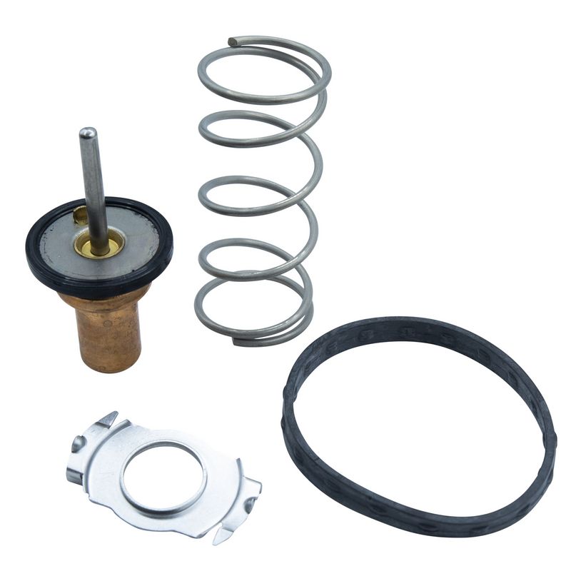 Termostat, płyn chłodzący MOTORAD 799-88INSK