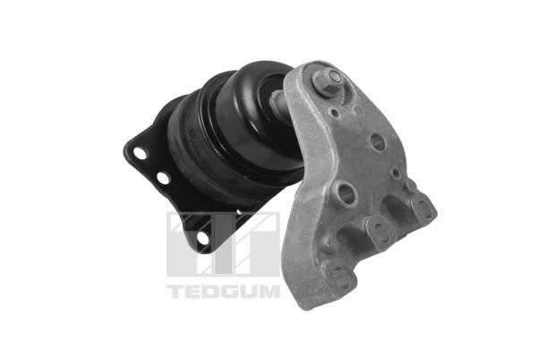 Łożyskowanie silnika TEDGUM 00729417